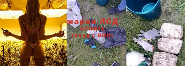 хмурый Заводоуковск