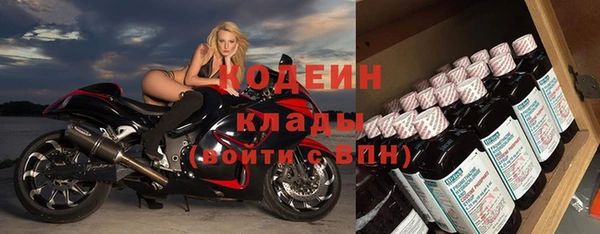 хмурый Заводоуковск