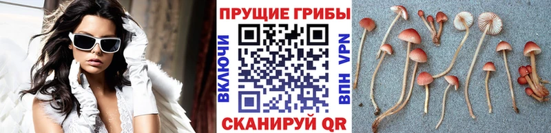 Галлюциногенные грибы ЛСД Ивангород