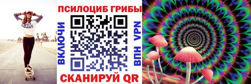 Купить  Ивангород  Галлюциногенные грибы Psilocybine cubensis 